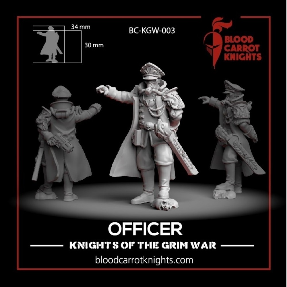 BloodCarrotKnights - Officer of the 5th Regiment de Vita